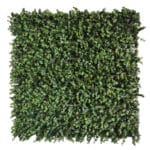 Jardín Artificial Eucalyptus