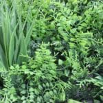 Jardín vertical Artificial Tropic Fern detalles