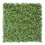 Jardín Vertical Ficus