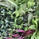 Dettagli del giardino verticale artificiale Colore Primavera