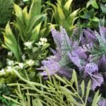 Jardín vertical artificial Málaga detalle