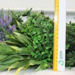 Jardín vertical Artificial Málaga medidas