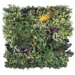 Jardín Vertical Jungle