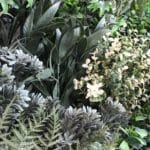 Jardín vertical artificial premium Green winter