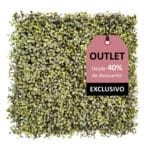 Liquidación deluxe boj