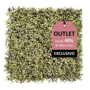 Liquidación deluxe boj