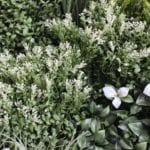 Jardín Vertical New Blosson en detalle