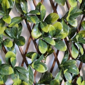 Hellgrüner Sichtschutzzaun im Detail