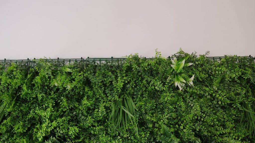 Imagen #1 de Paloma Alonso