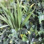 Jardín vertical artificial Green Garden en detalle