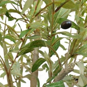 Olivo artificial en detalle