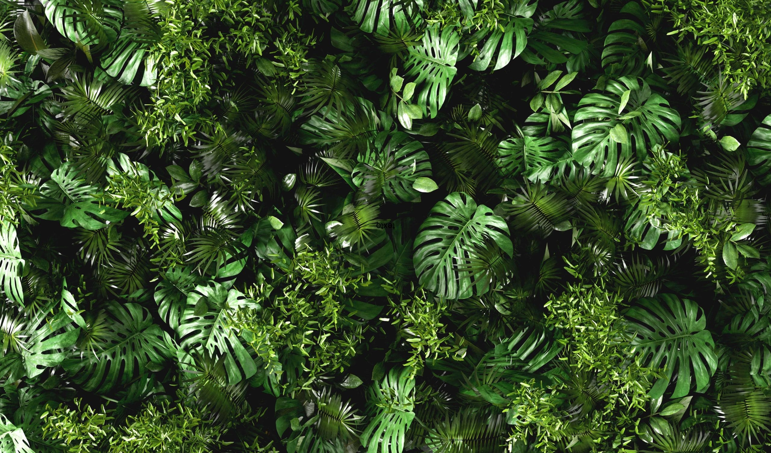 Jardín Vertical Artificial de buena calidad