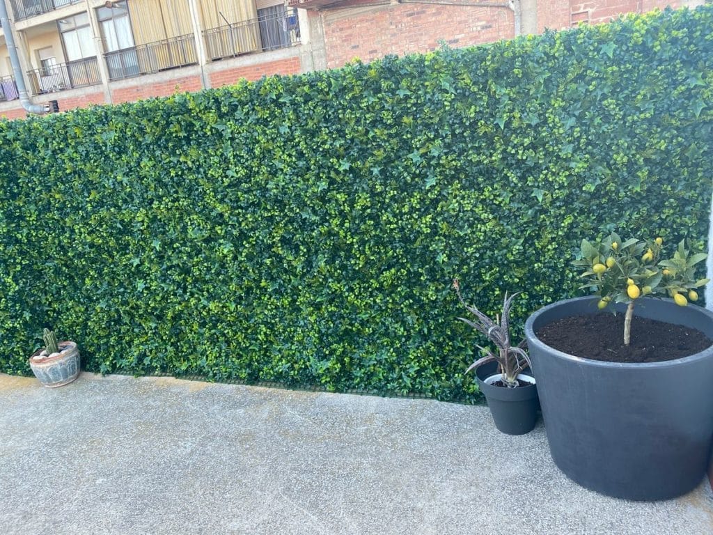 Imagen #2 de Imma Rubinat