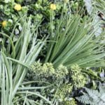 Detalles del jardín vertical artificial Color Garden