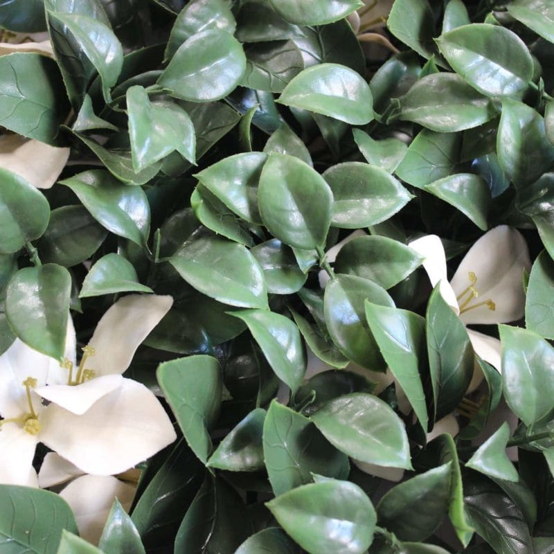 Jardín Vertical ficus blanco en detalle