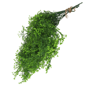 Planta Colgante Perla de Agua 80cm. PACK DE 5 UNIDADES