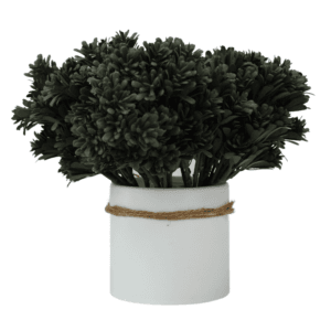 Rama de Roseta Oscura. PACK DE 5 UNIDADES.