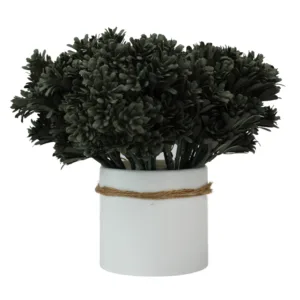 Rama de Roseta Oscura. PACK DE 5 UNIDADES.