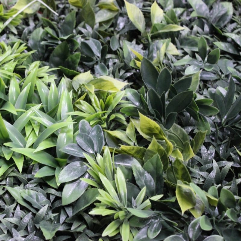 Jardín Vertical Sun Light Garden