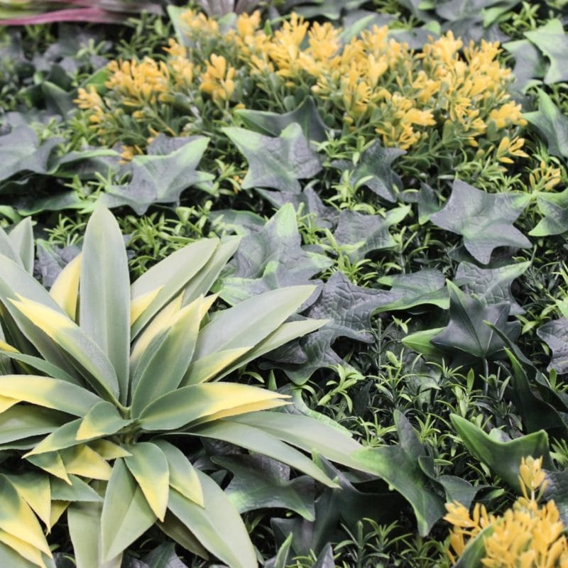 Jardín vertical magic garden