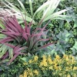 Jardín Vertical magic garden detalle