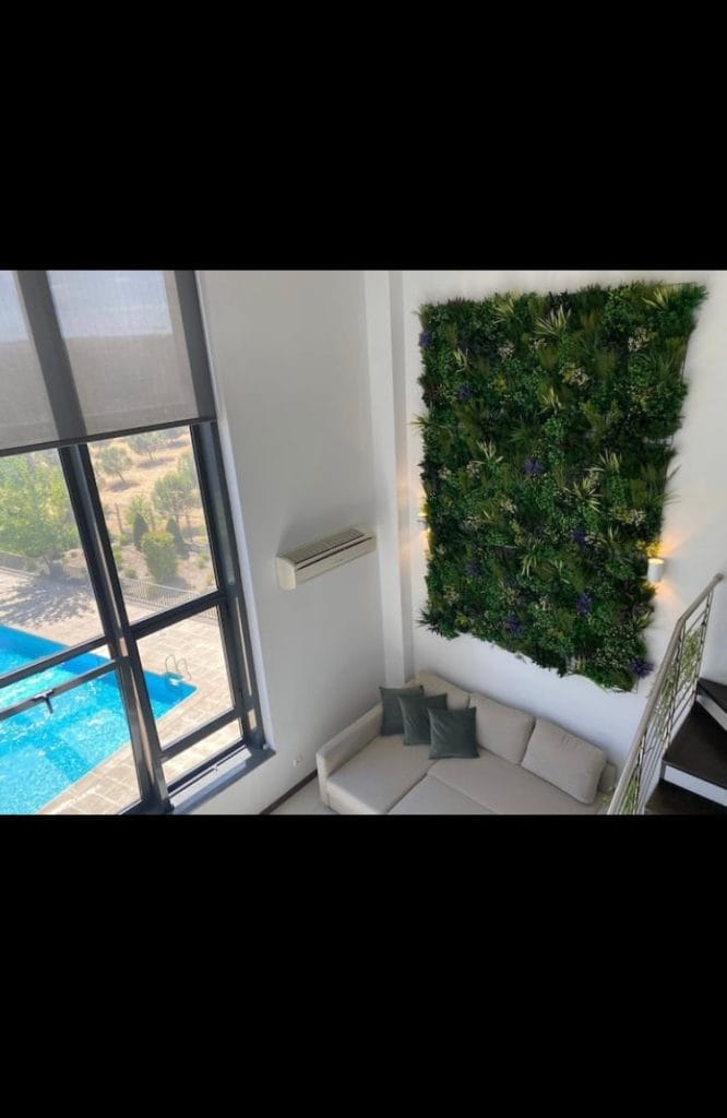 Imagen #1 de Antonio P.