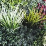 Desatlles jardín vertical artificial Joint Spring Garden