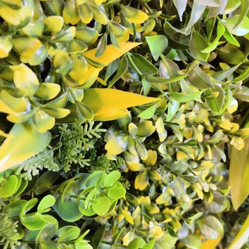  Fenix ​​Frame Vertical Garden in detail