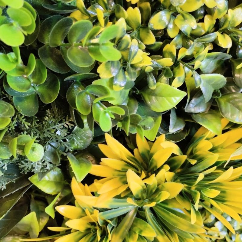  Fenix ​​Frame Vertical Garden in detail