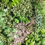 Jardín Vertical Fresh en detalle Jardín vertical Fresh Garden en detalle