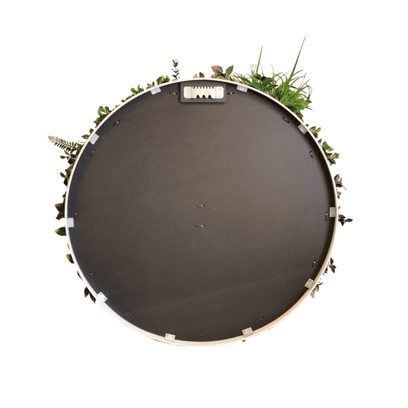 Jardín vertical Full Moon backing del frame