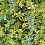 jardín vertical summer garden