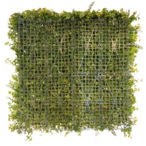 Jardín Vertical Summer Garden backing