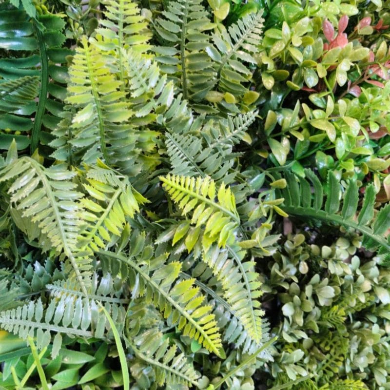 Jardín vertical Green Nature detalles