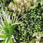 Jardín vertical Artificial Celestial en detalle