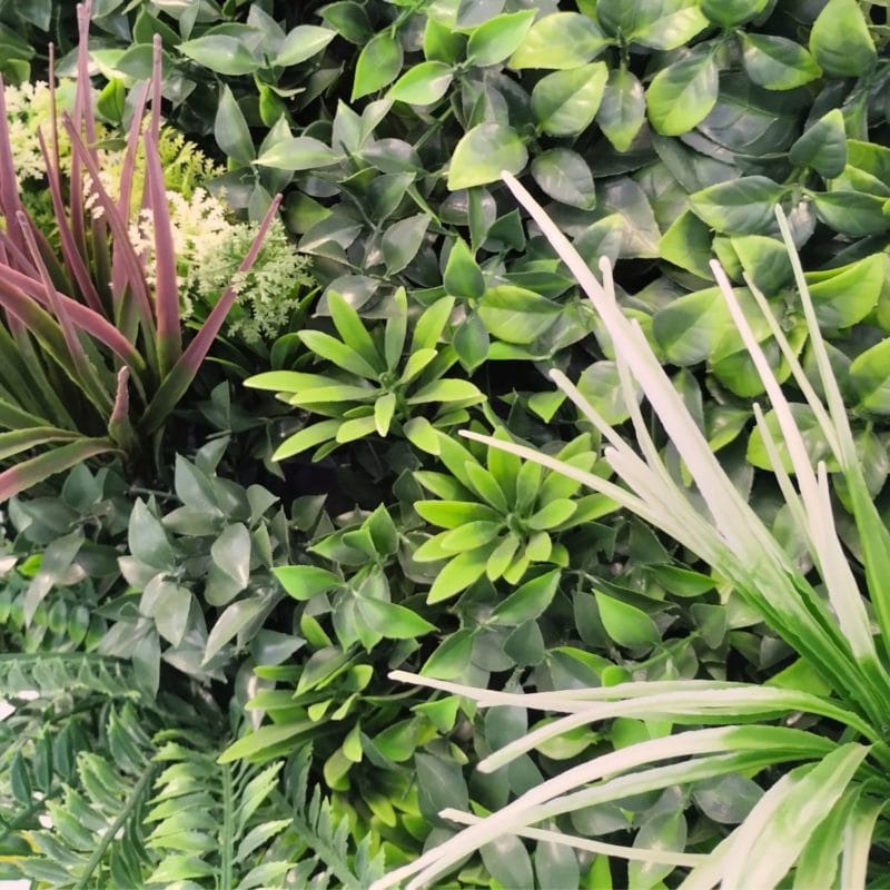 Jardín vertical Celestial con marco en detalle