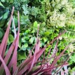 Jardín Vertical Harmony Frame en detalle