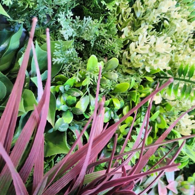 Jardín Vertical Harmony Frame en detalle