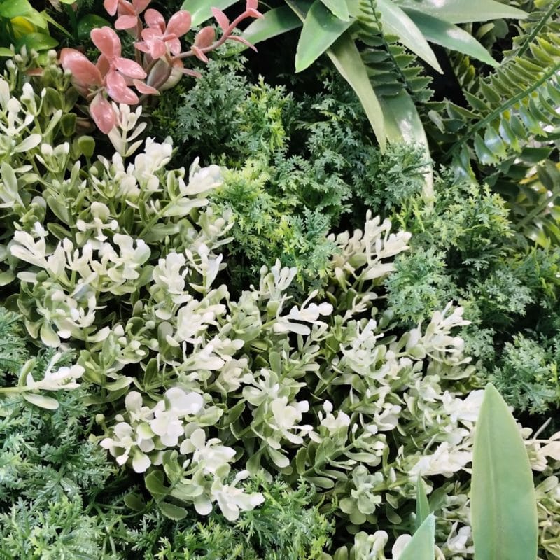 Jardín Vertical Urban Jungle plantas