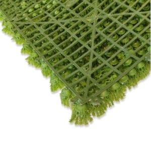 Backing musgo Tree Moss