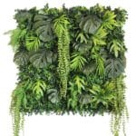 Jardín Vertical New Rainforest