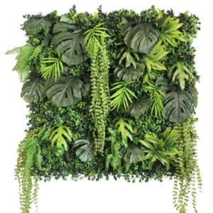 Jardín Vertical New Rainforest