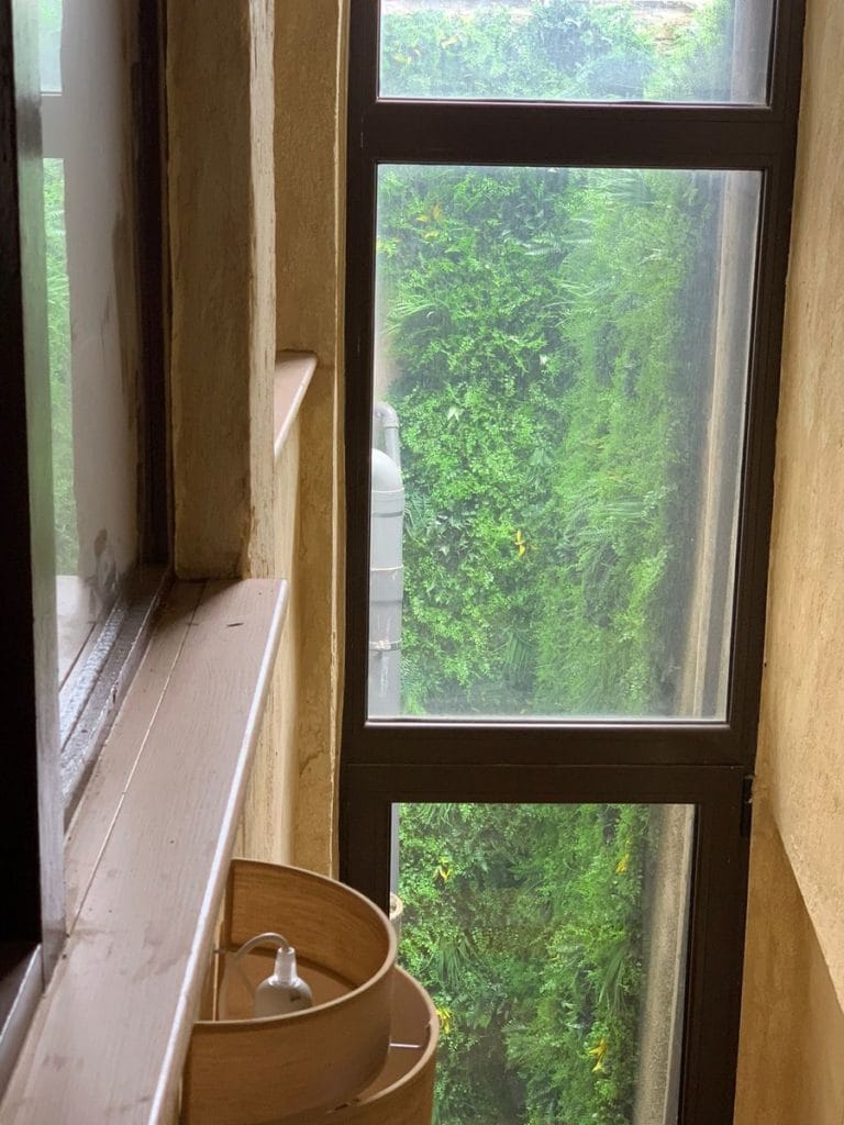 Imagen #3 de Maria F.