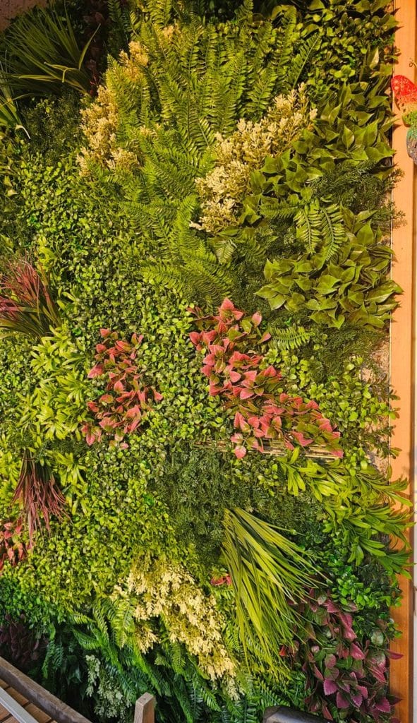 Imagen #1 de Laura J.