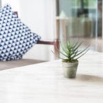 Decoración con aloe vera artificial