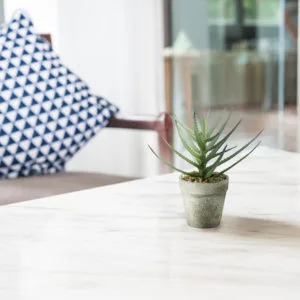 Decoración con aloe vera artificial