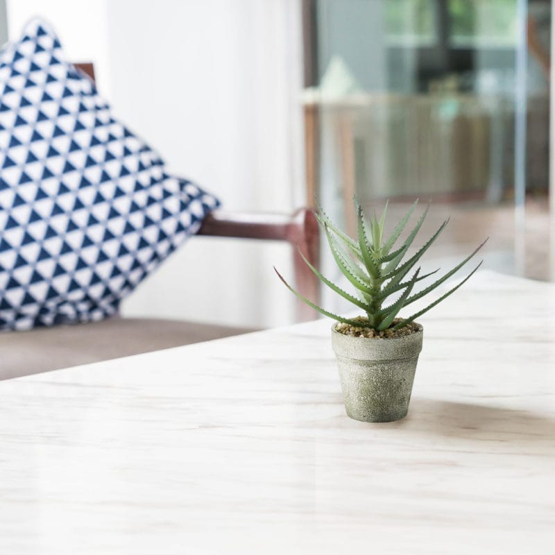 Decoración con aloe vera artificial