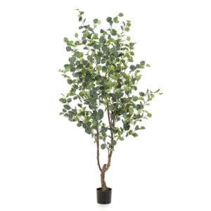 Árbol Eucalipto 180 cm