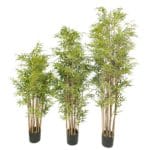 Bambu Deluxe 155, 185 e 215 cm