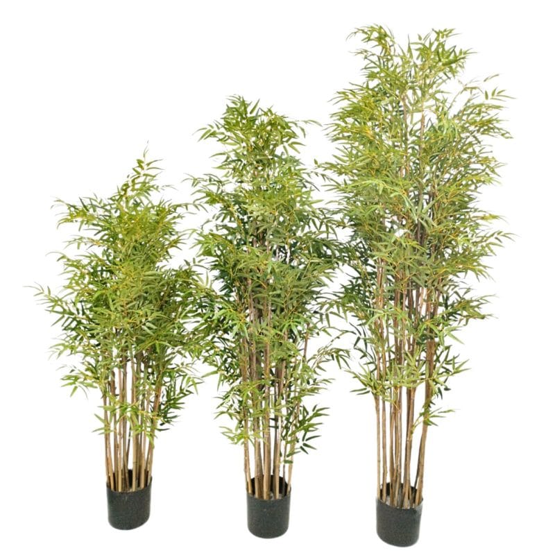 Bambu Deluxe 155, 185 e 215 cm